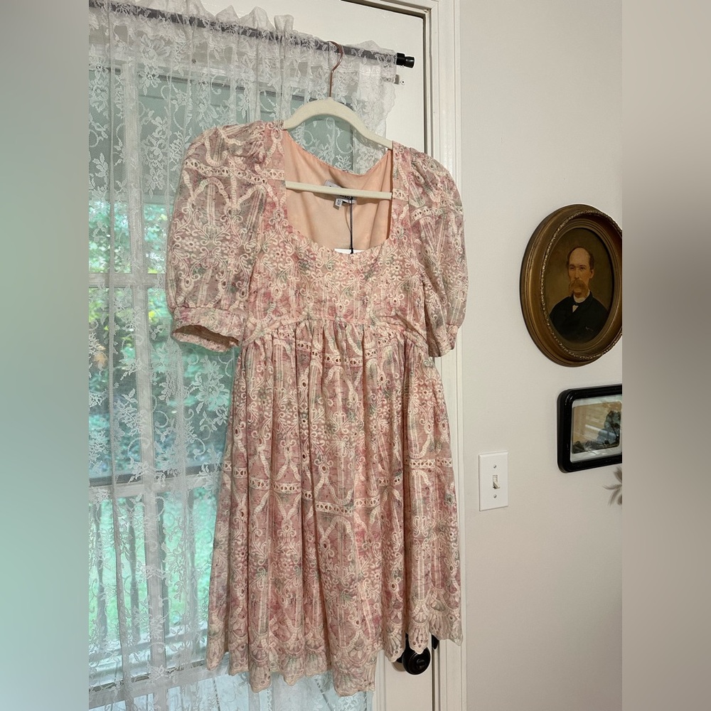 NWT En Saison Kiera Eyelet-Embroidered Mini Dress XS - Picture 5 of 7